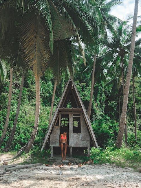 Hut Under Palm Tree